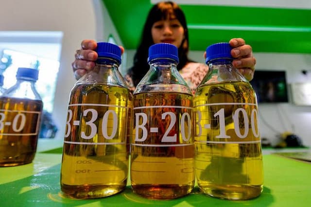 ue_banding_putusan_wto_soal_biodiesel_indonesia_siap_gugat_balik