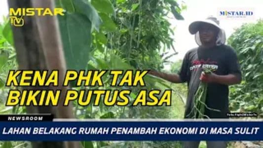 newsroom_lahan_belakang_rumah_penambah_ekonomi_di_masa_sulit