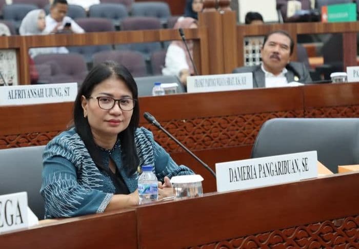 dameria_minta_dinkes_bentuk_satgas_klinik_berjalan_atasi_penyakit_pasca_banjir_medan