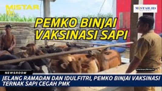 newsroom_jelang_ramadan_dan_idulfitri_pemko_binjai_vaksinasi_ternak_sapi_cegah_pmk