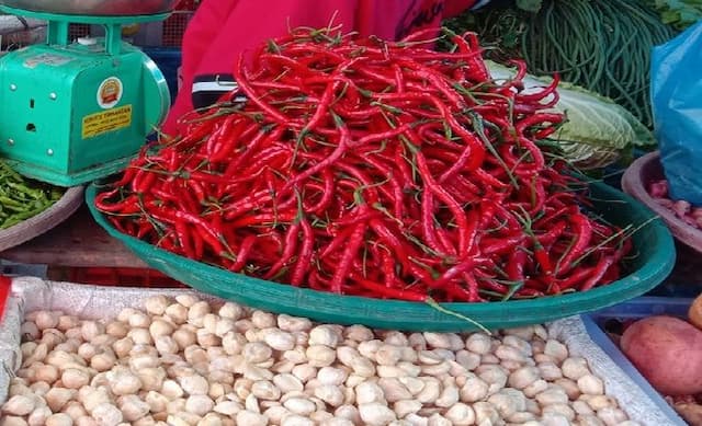 harga_cabai_di_pasar_balige_turun_drastis_jelang_lebaran_tpid_toba_intensif_pantau