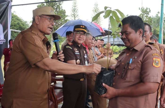 pemkab_dairi_bagikan_101000_bibit_pohon_ke_warga