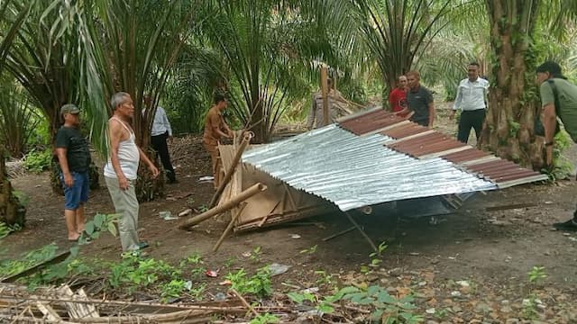 gerebek_sarang_narkoba_di_air_merah_polisi_bongkar_gubuk_diduga_tempat_pesta_sabu