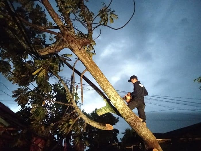 hujan_deras_di_binjai_pohon_tumbang_di_jalan_danau_tondano_dievakuasi_bpbd