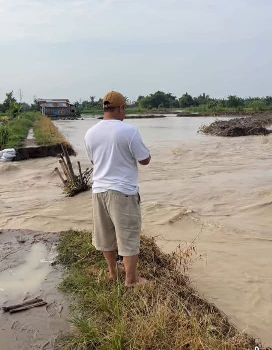 sungai_batu_gingging_meluap_puluhan_hektar_sawah_milik_warga_tanjung_morawa_terendam
