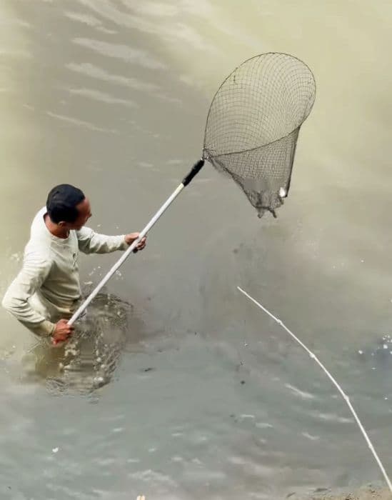 air_sungai_batang_serangan_berubah_hitam_ikan_jadi_mabuk