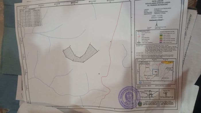 penebangan_kayu_pinus_di_desa_hutabulu_siborongborong_diklaim_sesuai_prosedur