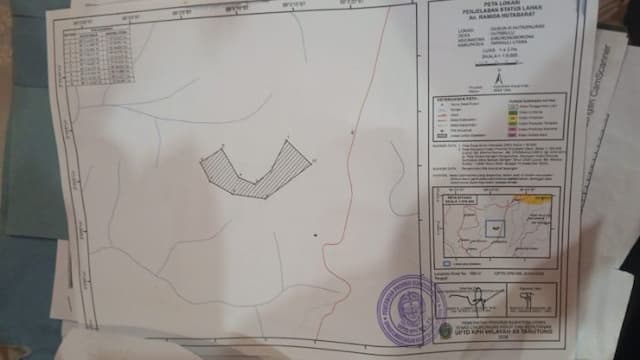 penebangan_kayu_pinus_di_desa_hutabulu_siborongborong_diklaim_sesuai_prosedur