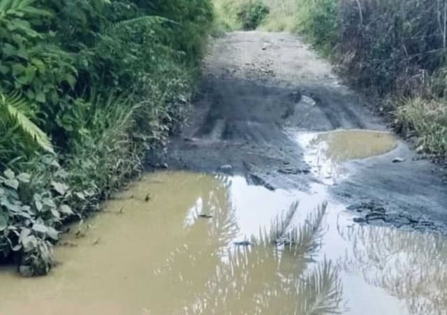 setengah_abad_lebih_jalan_dusun_mejuahjuah_langkat_rusak_belum_tersentuh_perbaikan_
