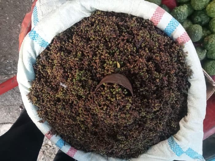 harga_andaliman_melonjak_tajam_di_toba_ini_penyebabnya