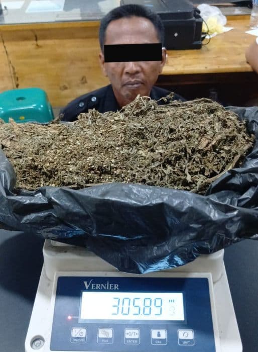kedapatan_simpan_ganja_kering_security_bengkel_mobil_di_medan_ditangkap