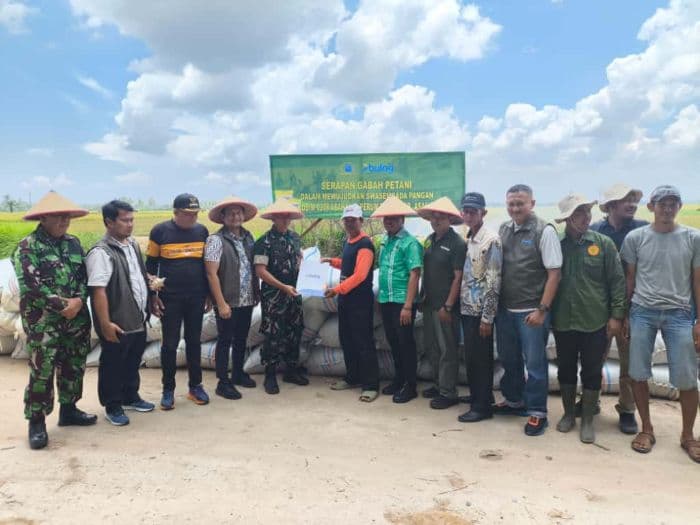 bulog_asahan_serap_20_ton_gabah_petani_batu_bara_untuk_jaga_ketahanan_pangan
