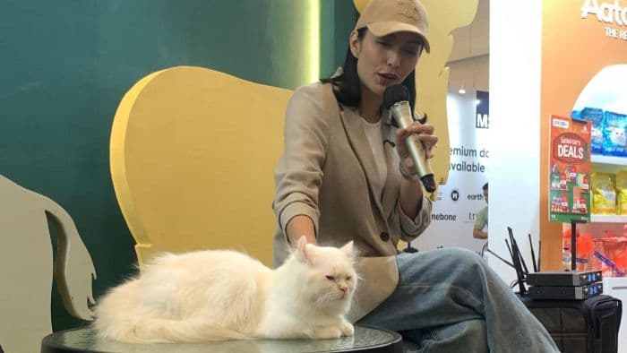 rawat_23_kucing_di_rumah_tyas_mirasih_akui_dompet_berat_tapi_hati_happy_