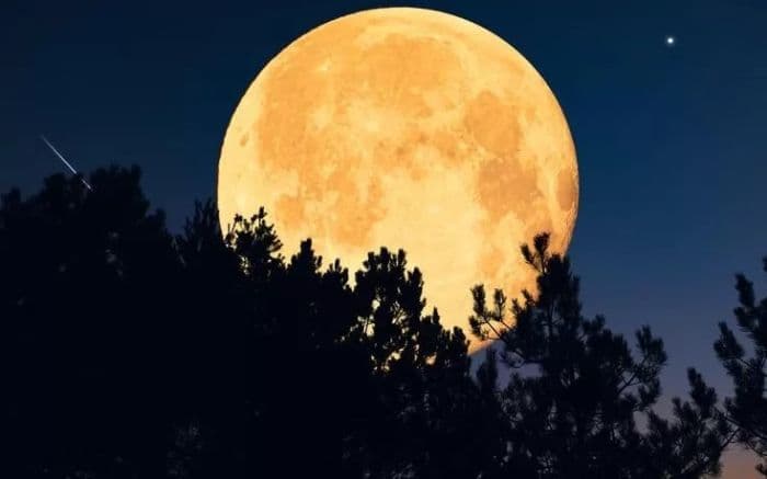 fenomena_supermoon_cold_moon_5_desember_2025_penutup_spektakuler_tahun_ini