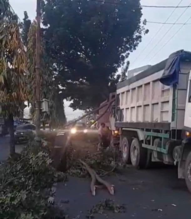 disenggol_dump_truk_pohon_tumbang_tutup_jalan_setia_budi_medan