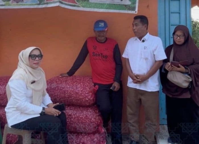 kdmp_dan_kkmp_serap_630_kg_bawang_merah_petani_sidodadi_ramunia