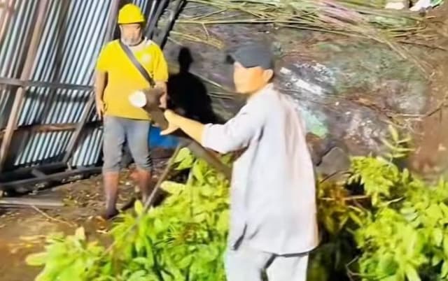 90_pohon_di_medan_tumbang_dihantam_hujan_badai_kurun_waktu_dua_hari_