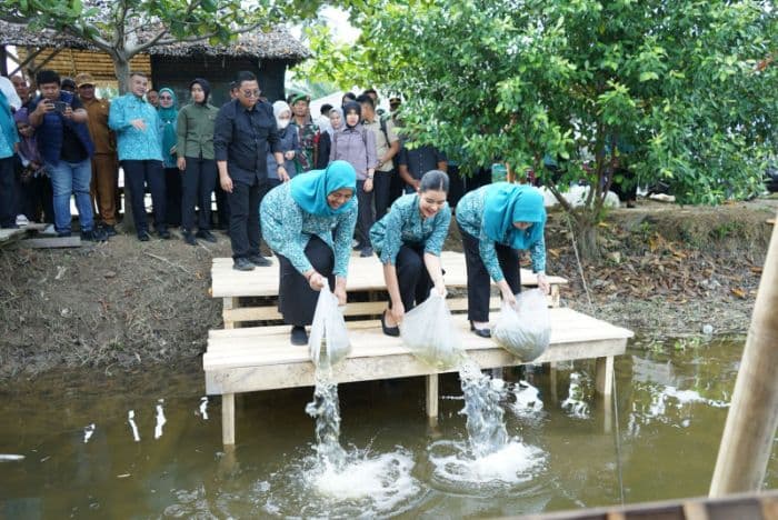 sambangi_warga_tanjung_pura_kahiyang_ayu_serahkan_15_ribu_bibit_nila_dan_50_paket_sembako