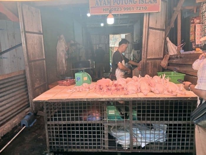 harga_ayam_broiler_di_siantar_tembus_rp37000_per_kg_umkm_tertekan