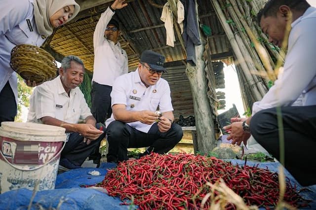 panen_cabai_ke17_di_paya_bakung_bupati_deli_serdang_dorong_produktivitas_petani