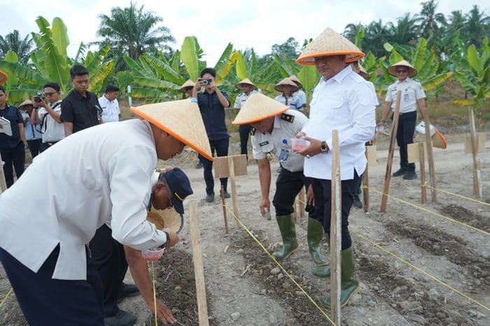 wabup_asahan_dukung_penanaman_jagung_lapas_labuhan_ruku_untuk_ketahanan_pangan_dan_pembinaan_warga_binaan