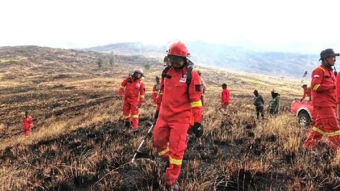 834_hektare_taman_nasional_tambora_terdampak_karhutla