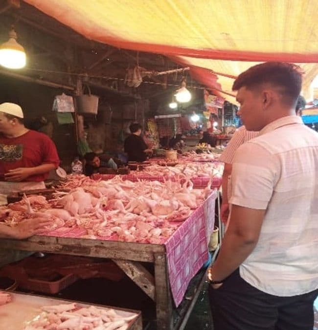 harga_ayam_di_sumut_naik_40_persen_kppu_awasi_rantai_pasok_mbg_