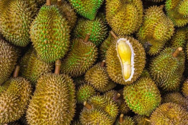tailan_gunakan_ai_untuk_jaga_kualitas_durian_ekspor_ke_china_tembus_us379_miliar