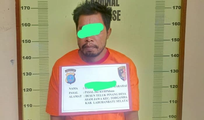 polres_labusel_tangkap_maling_sawit_di_dusun_kampung_mangga_