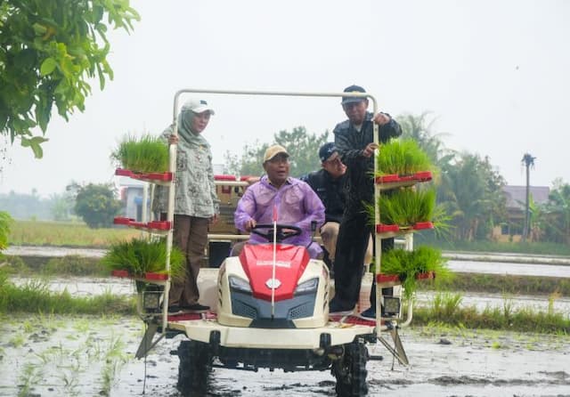 pemkab_deli_serdang_dorong_pertanian_modern_target_panen_9_ton_per_hektare