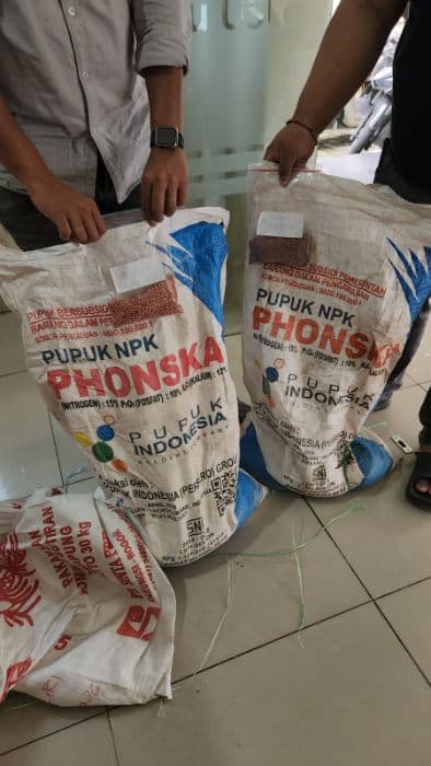 pupuk_bersubsidi_npk_phonska_akan_ditarik_dari_dairi_jika_mutunya_tak_sesuai_label