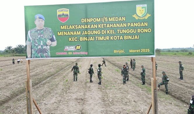denpom_15_medan_tanam_jagung_di_lahan_ex_ptpn2