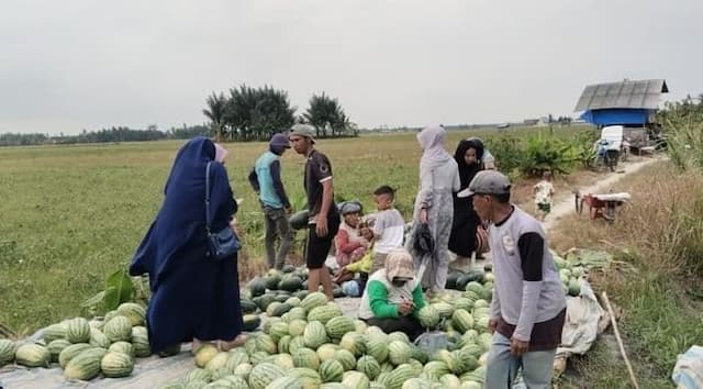 ntp_sumut_naik_ke_15716_pada_maret_2026