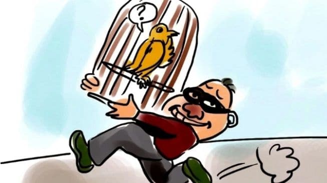 polisi_akan_gelar_perkara_kasus_pencurian_burung_dan_bbm_milik_warga_pantai_cermin