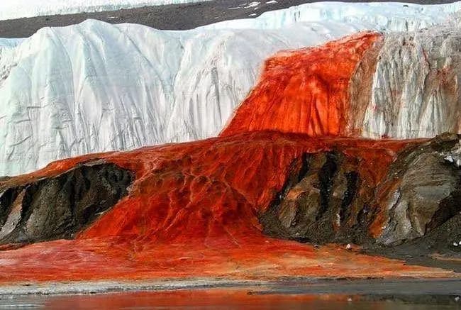 air_terjun_darah_di_antartika_penuh_dengan_kehidupan_organisme_laut