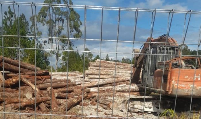 gakkum_kemenhut_amankan_ratusan_kubik_kayu_diduga_ilegal_dari_humbahas