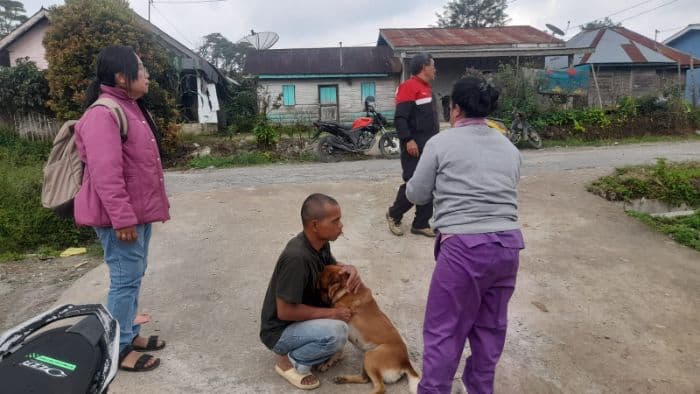 35_ribu_anjing_di_simalungun_vaksin_rabies_tahun_ini_hanya_500_dosis