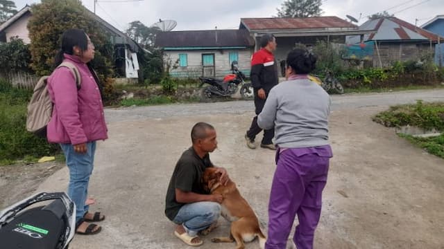 35_ribu_anjing_di_simalungun_vaksin_rabies_tahun_ini_hanya_500_dosis