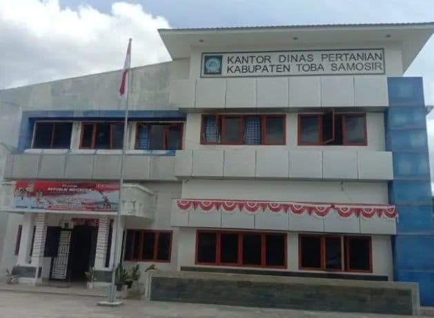 petani_gagal_panen_di_toba_bantuan_bibit_padi_masih_menunggu_koordinasi