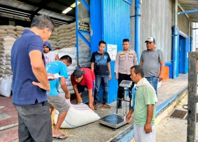 petani_jagung_tak_perlu_khawatir_tahun_2026_tersedia_kur_untuk_modal_tanam_di_batu_bara