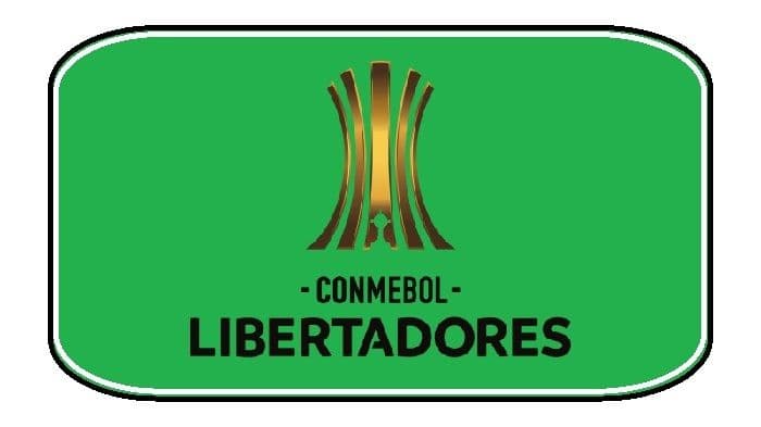 hasil_copa_libertadores_2026_klub_brasil_tertahan_tolima_mengamuk_di_matchday_keempat