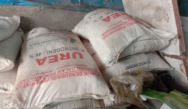 lima_pud_di_toba_sudah_tebus_pupuk_subsidi_petani_keluhkan_distribusi_lambat_