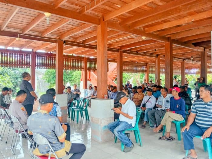 petani_batu_bara_keluhkan_jadwal_pola_tanam_padi_tanpa_dukungan_irigasi_memadai