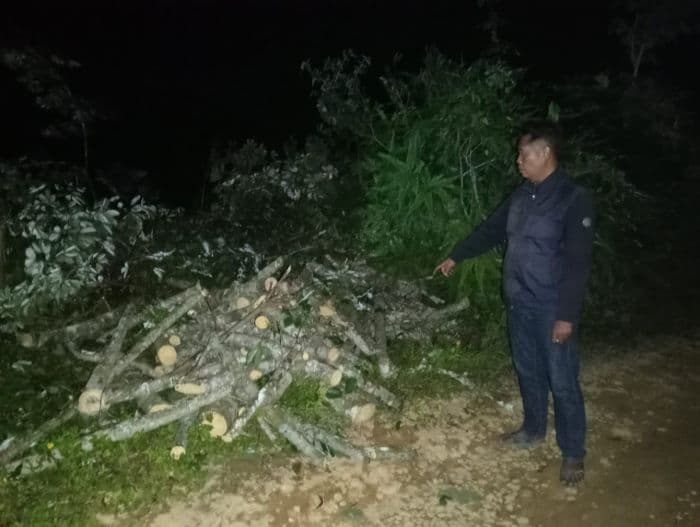dua_pengangkut_kayu_tewas_tersengat_listrik_di_kutambaru