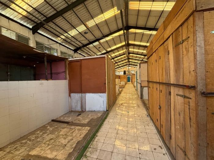 pasar_balairung_rajawali_senilai_rp4_miliar_terbengkalai_enam_tahun