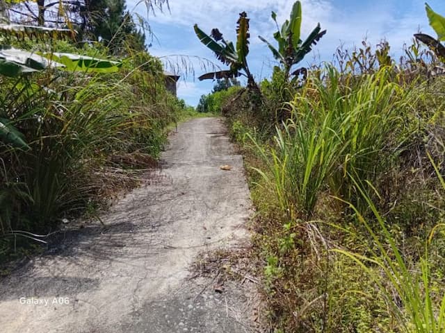 pemkab_taput_bakal_patok_kawasan_register_42_sijaba_diklaim_ada_lahan_keluarga_mantan_bupati