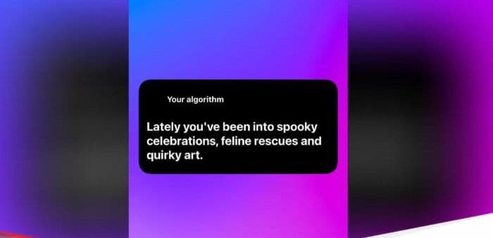 tren_your_algorithm_ramai_di_instagram_stories_ini_cara_ikut_dan_fungsinya