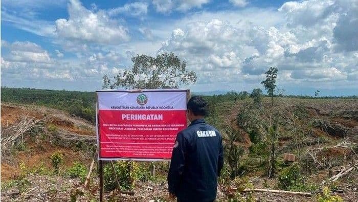 kemenhut_segel_lima_lokasi_pembalakan_liar_yang_diduga_picu_banjir_di_sumatera