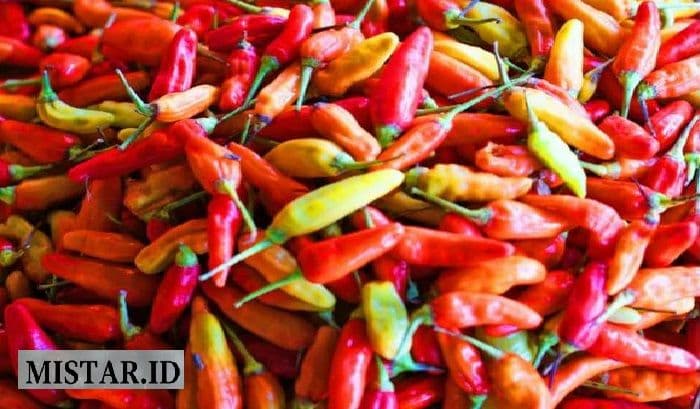 harga_pangan_naik_cabai_rawit_merah_tembus_rp53900kg_tekan_daya_beli_masyarakat