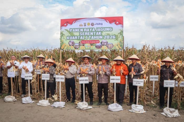 kabupaten_sergai_ikut_panen_jagung_serentak_kuartal_i_2026